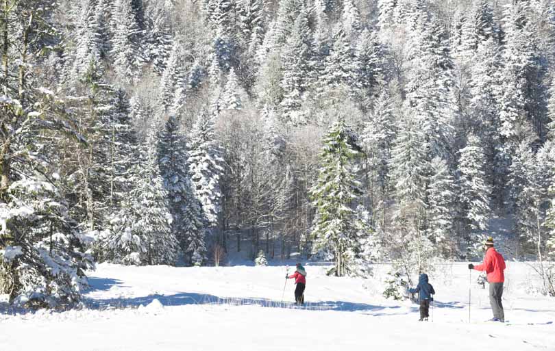 que faire dans les vosges