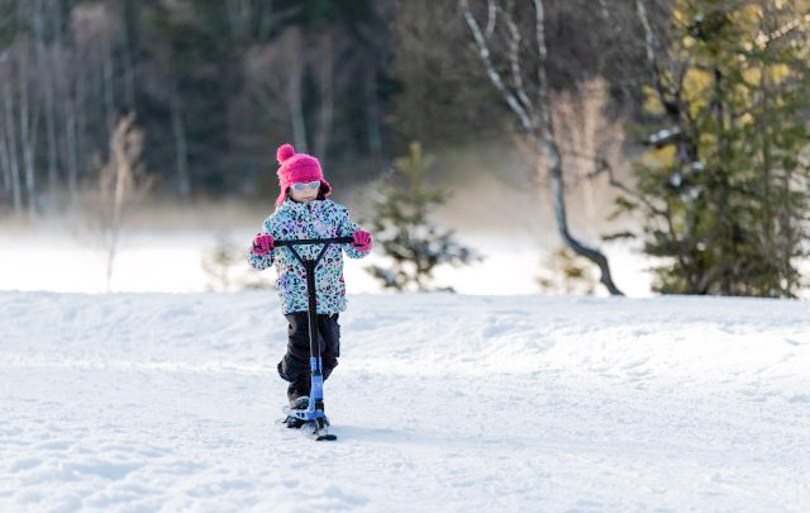 que faire dans les vosges