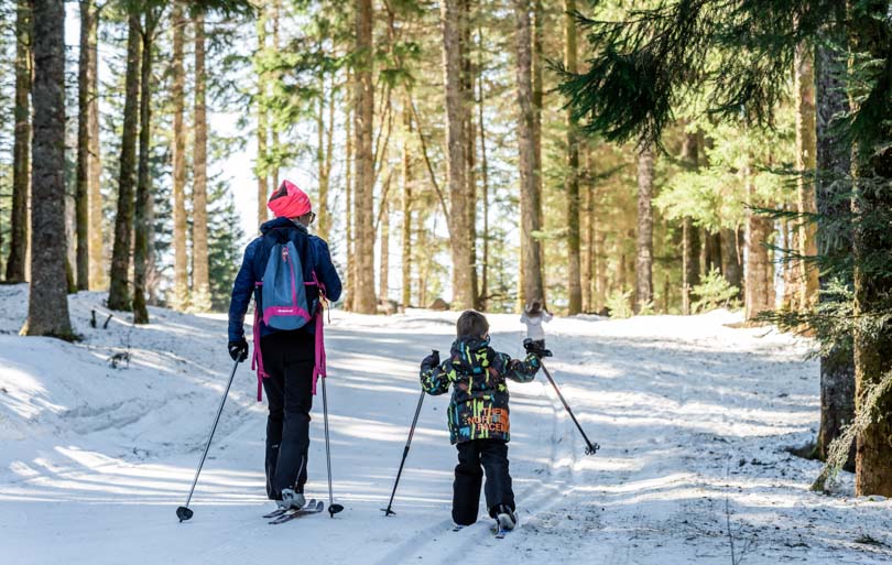 que faire dans les vosges