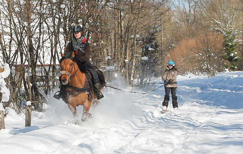 que faire dans les vosges