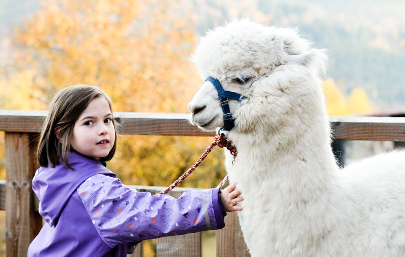 Que faire dans les vosges