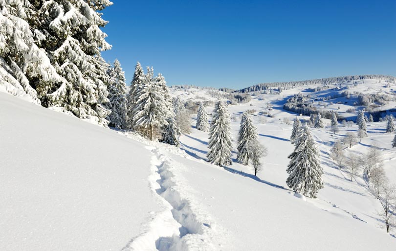 que faire dans les vosges
