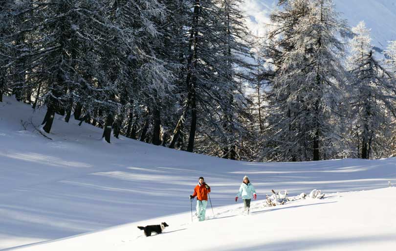 puy saint vincent