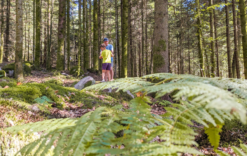 Huttopia for&ecirc;t des Vosges