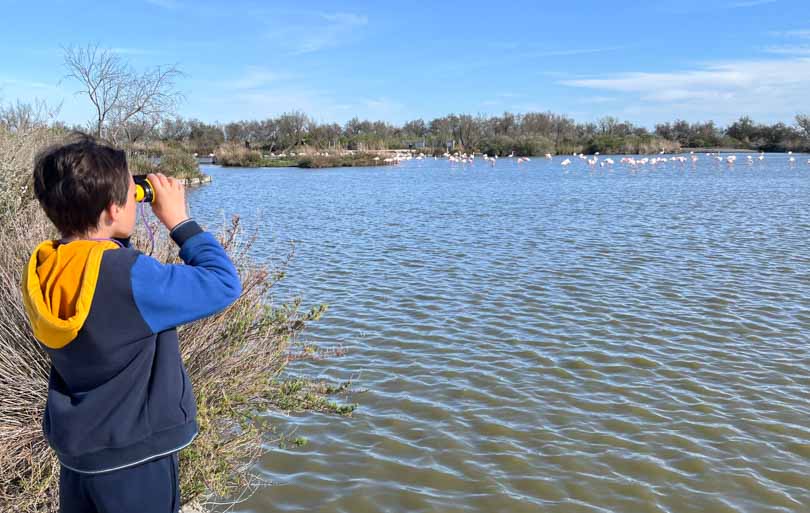 Que faire en Camargue
