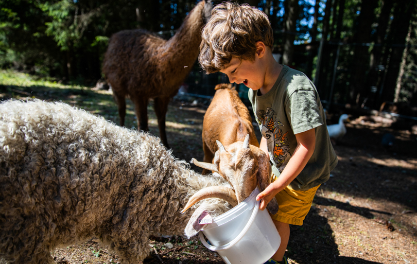 M&eacute;ribel l'&eacute;t&eacute; avec les kids