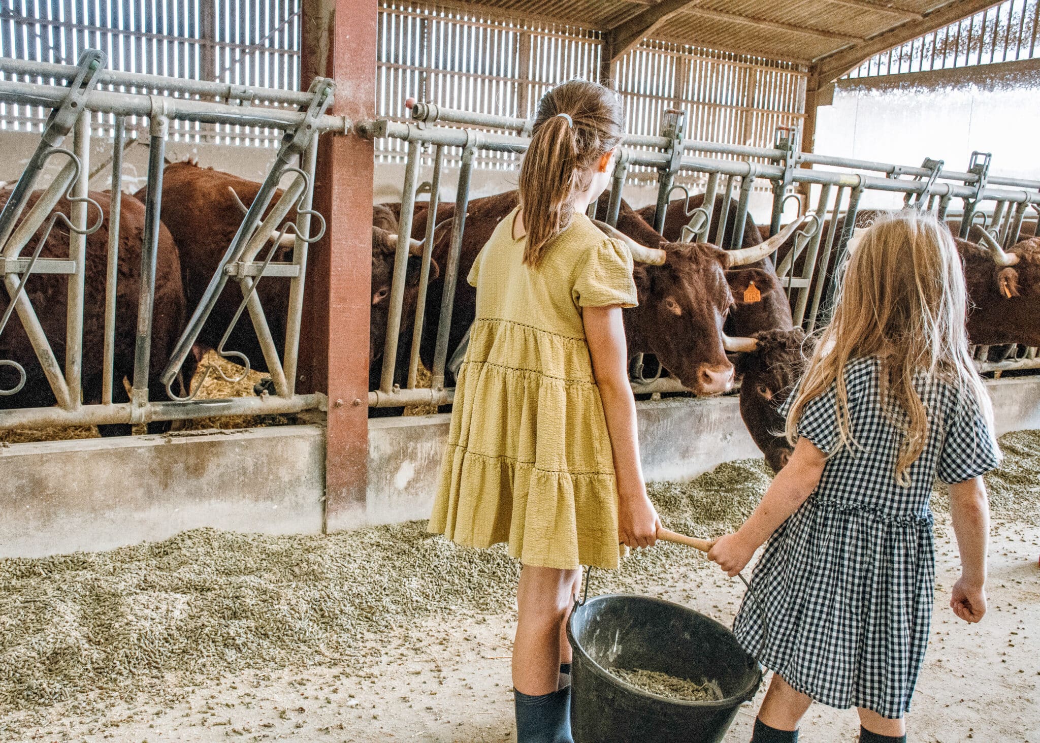 S&eacute;jour &agrave; la ferme unique avec Un Lit au Pr&eacute;
