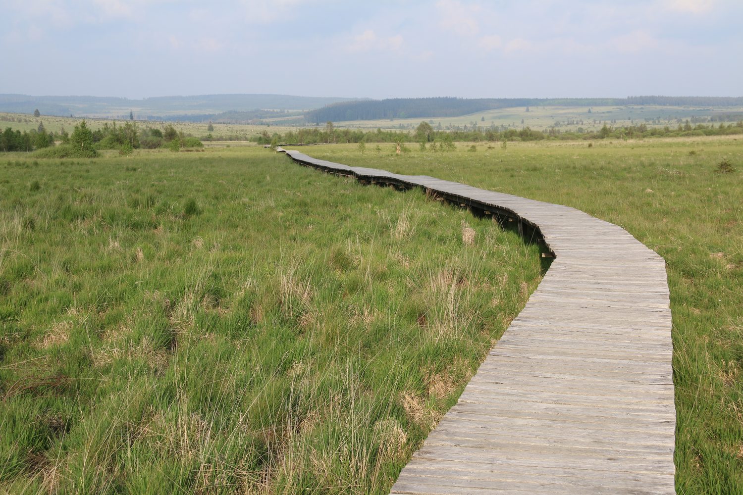 Les caillebotis des Hautes Fagnes