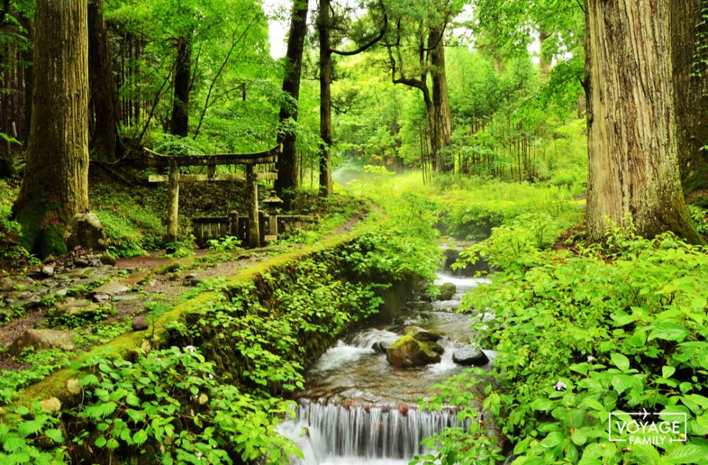 voyage au japon avec enfants