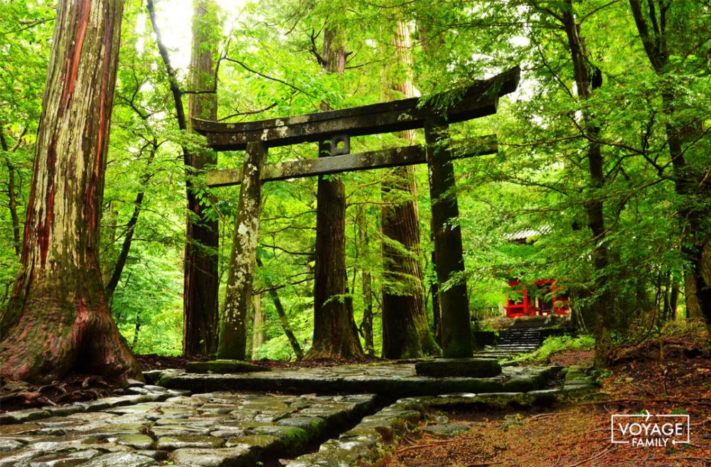 voyage au japon avec enfants