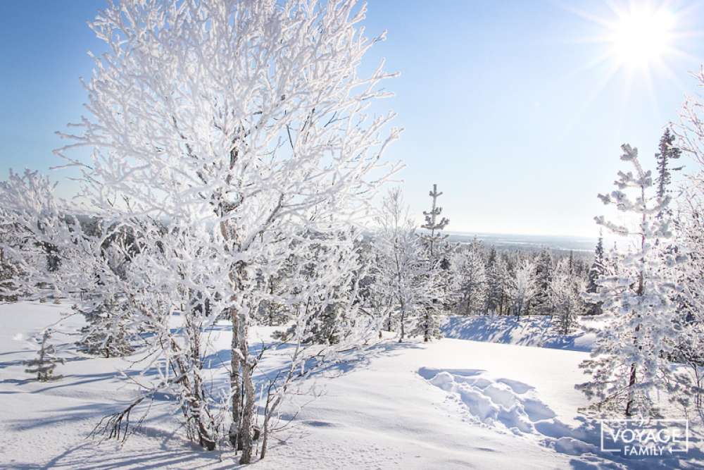 balade raquette lapland safari