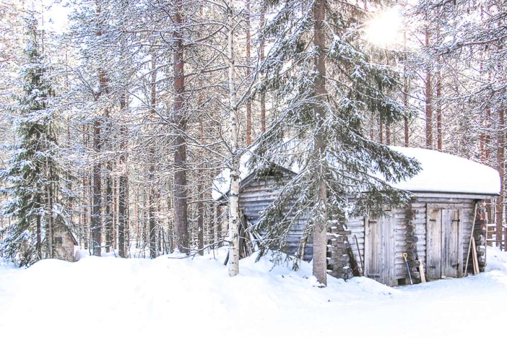 ferme tatuka rennes laponie finlandaise en famille