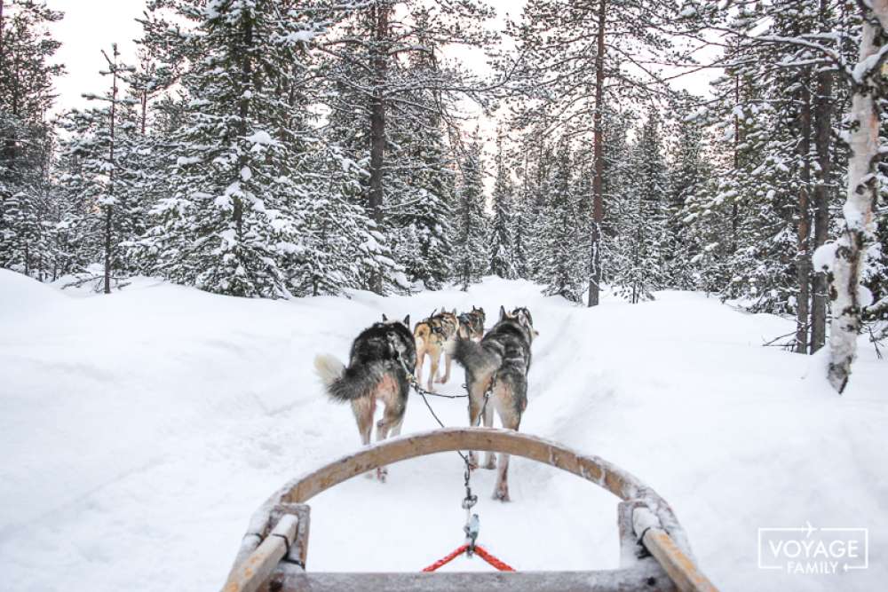 traineau à chien laponie voyage