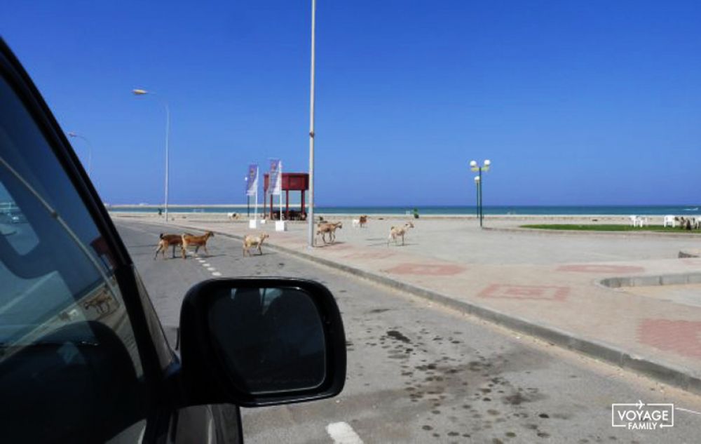 sultanat oman séjour famille