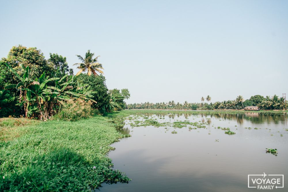 bacwaters allepey kerala en famille