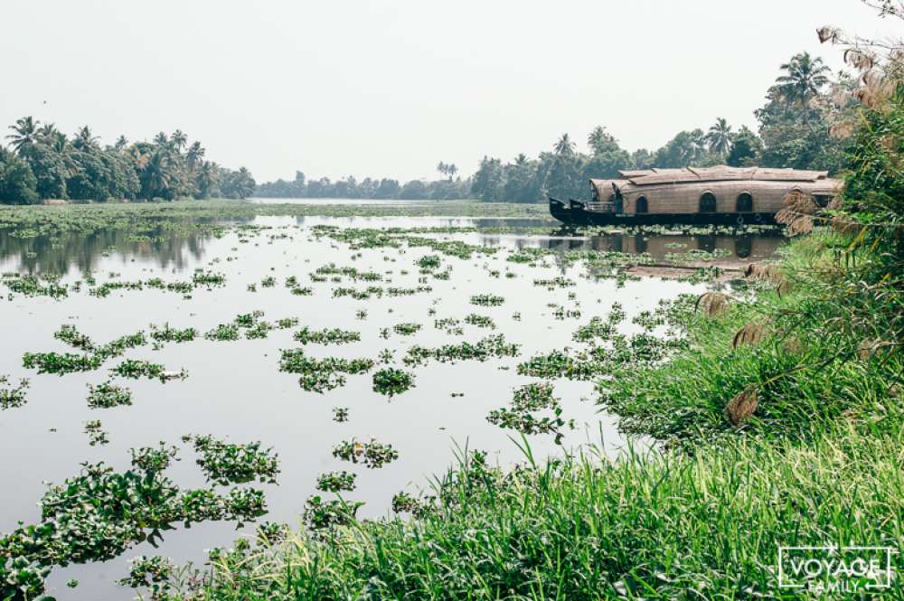 backwaters allepey inde du sud en famille