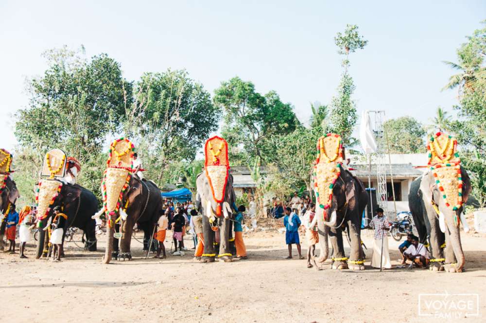 partir en inde pour un séjour en famille