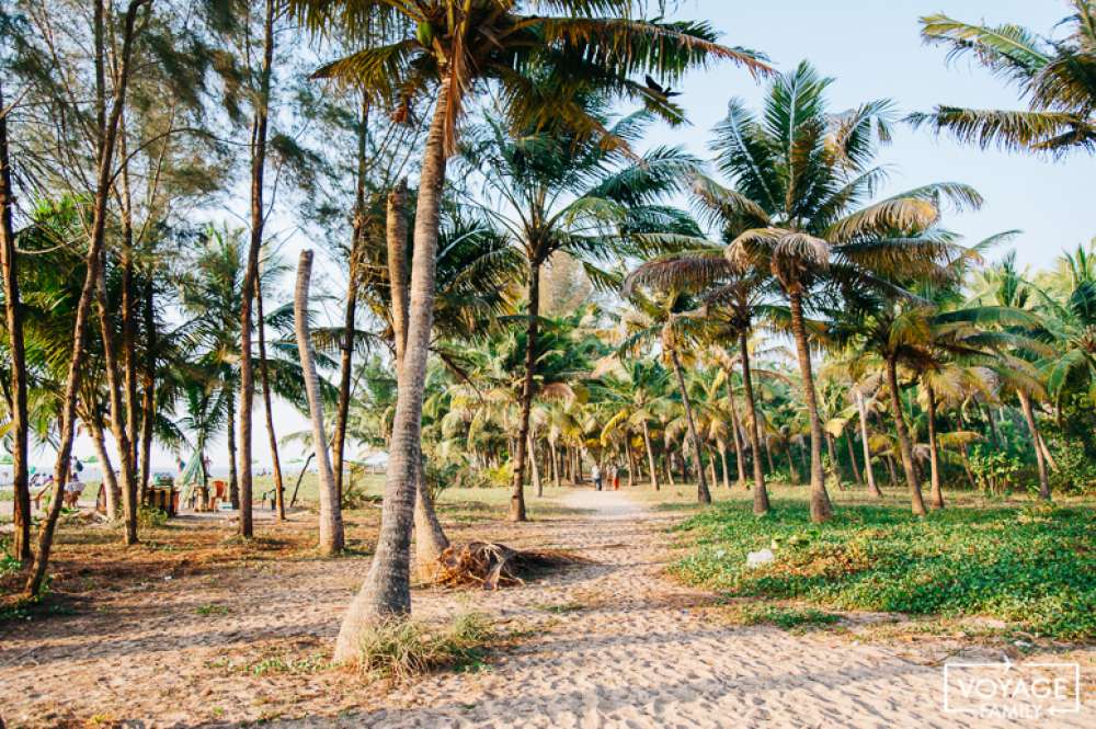 mararai beach kerala en famille