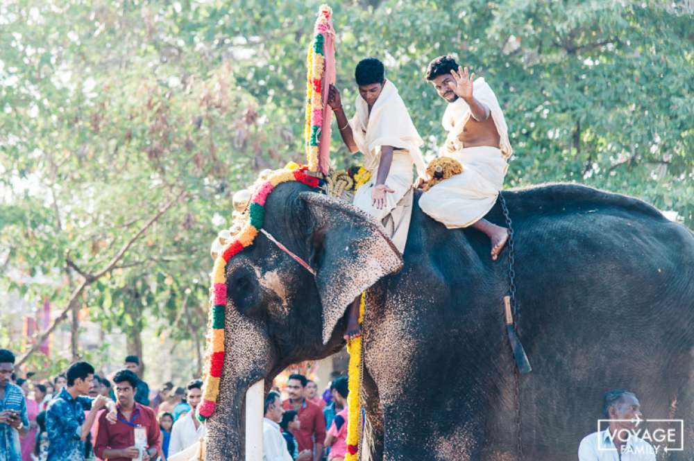 carnaval cochin inde du sud en famille