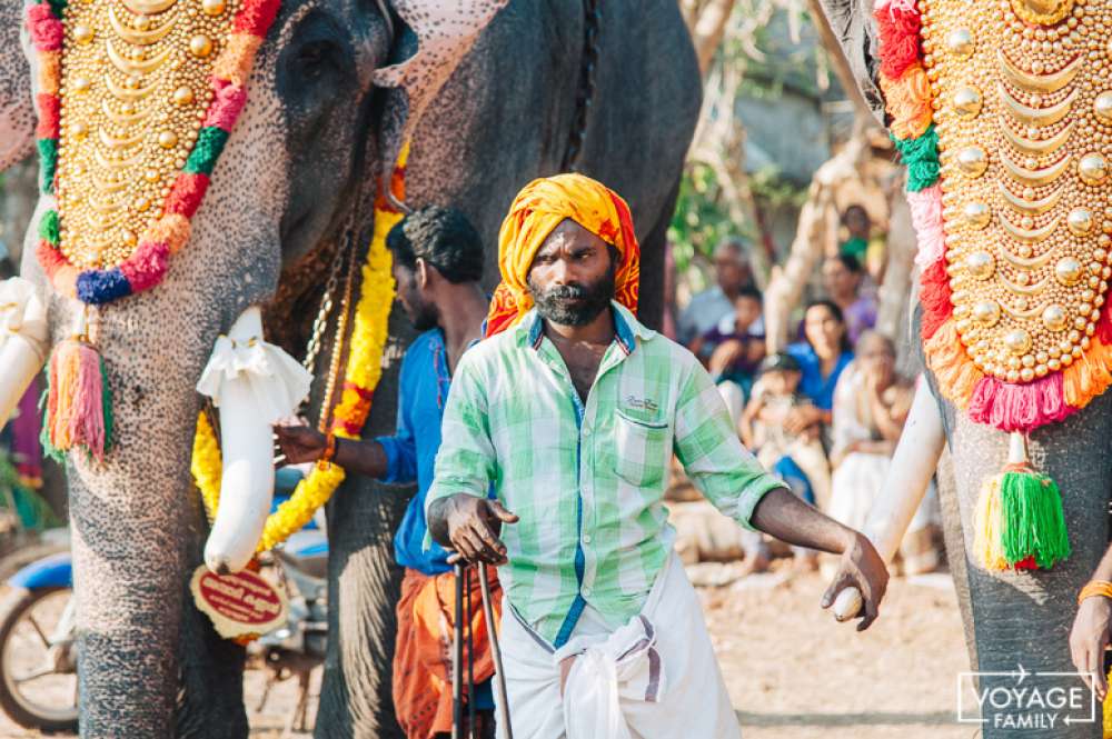 varkala elephants inde du sud en famille