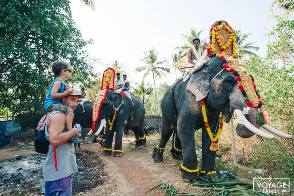 éléphants varkala kerala en famille