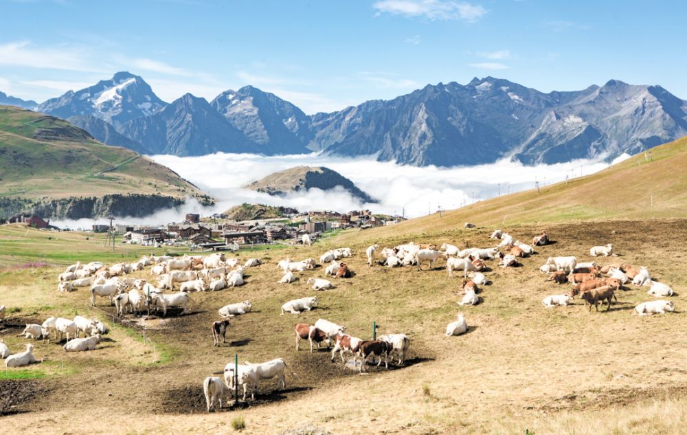 alpe huez été