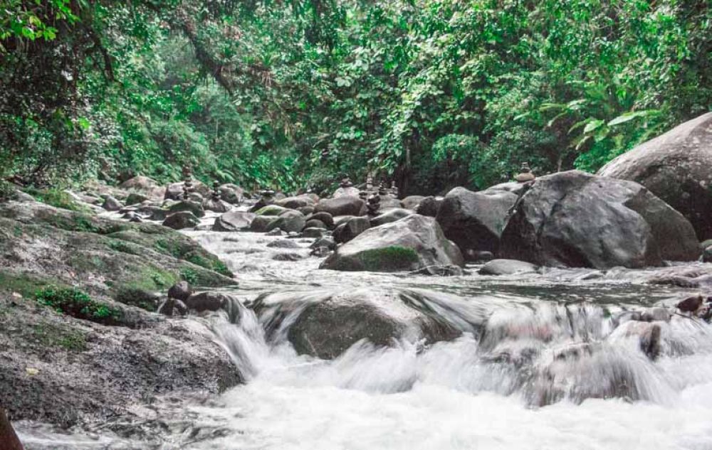 Que faire sur Basse-Terre en Guadeloupe