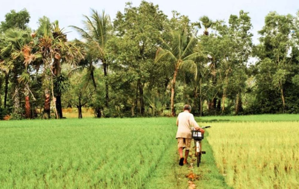 Cambodge