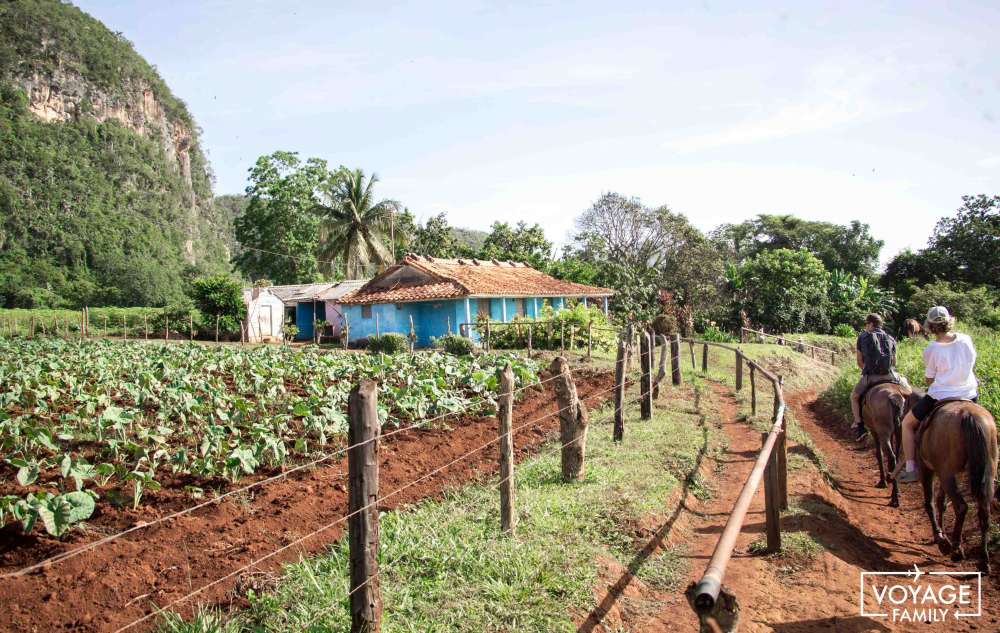 conseil voyage cuba randonnée cheval à Vinals