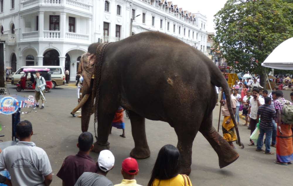 Road-trip au pays de Kandy