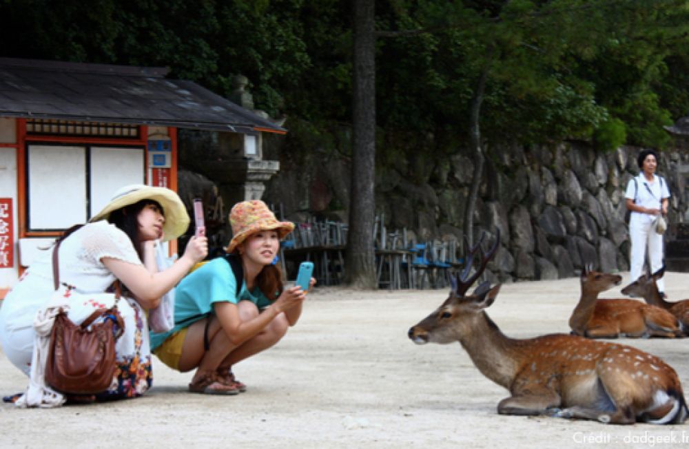 japon en famille