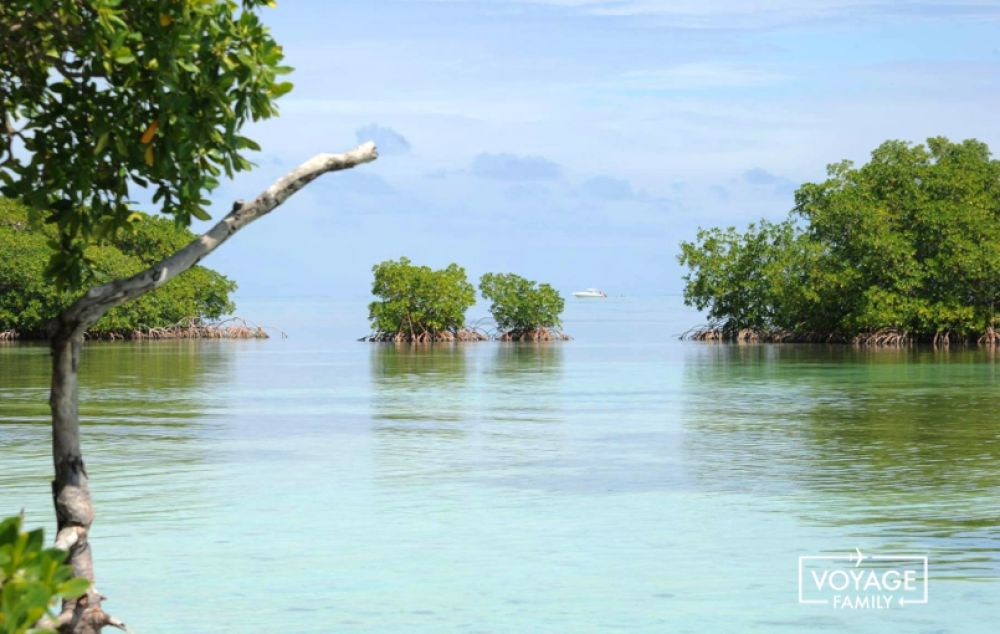 visite guadeloupe en famille