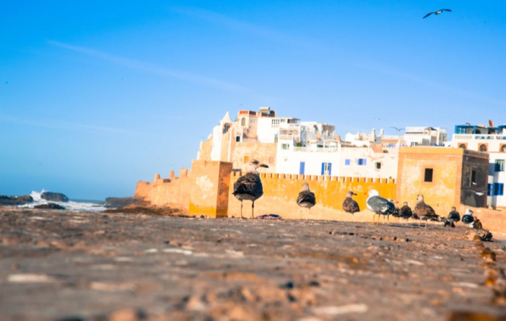 Côte marocaine