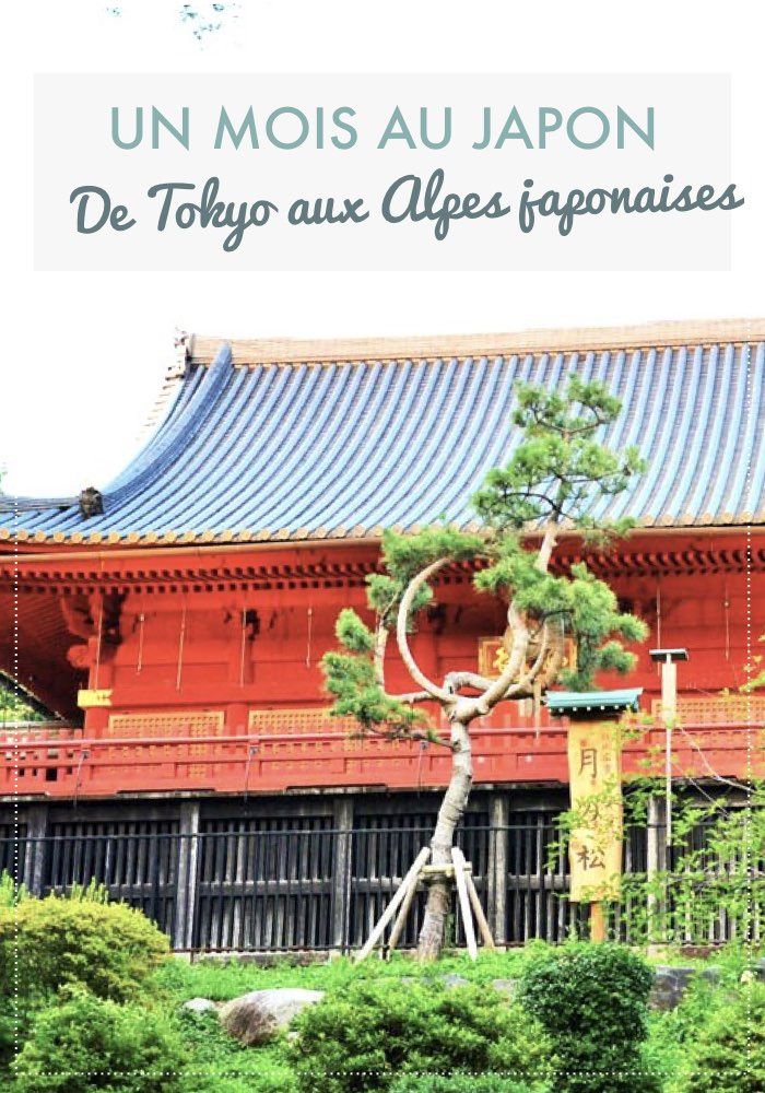 japon avec enfants de Tokyo aux Alpes japonaises