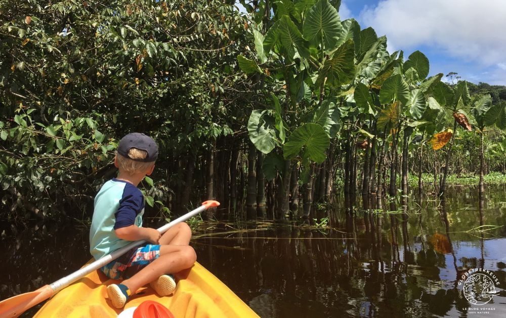 voyage en guyane