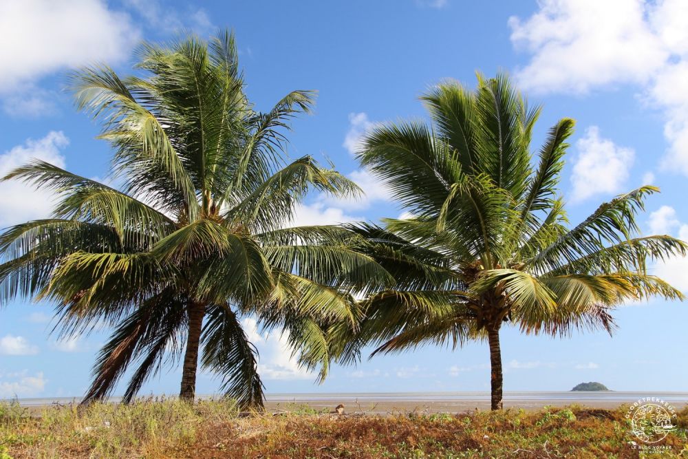 Guyane : ce qu'en pensent les pros du voyage