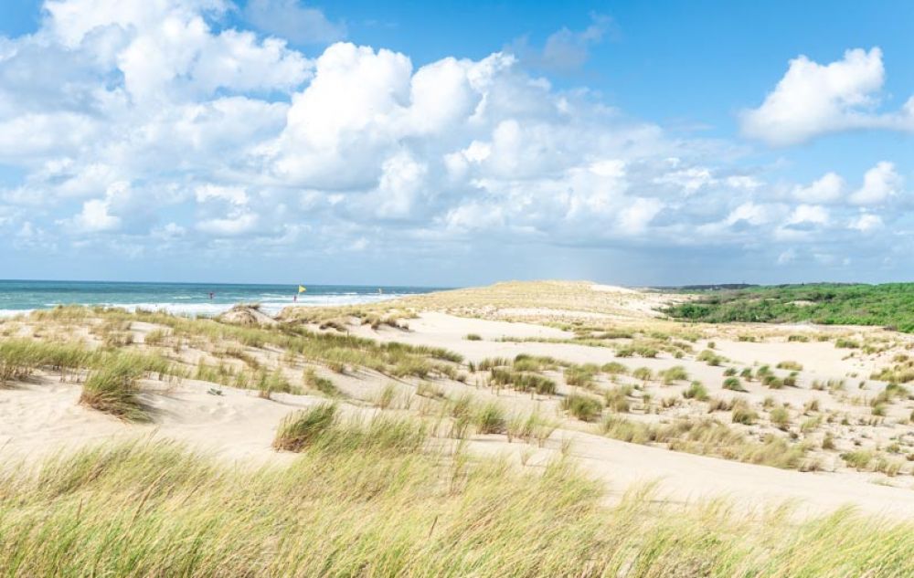 plage sud lacanau