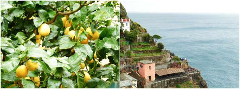 Cinque terre en italie