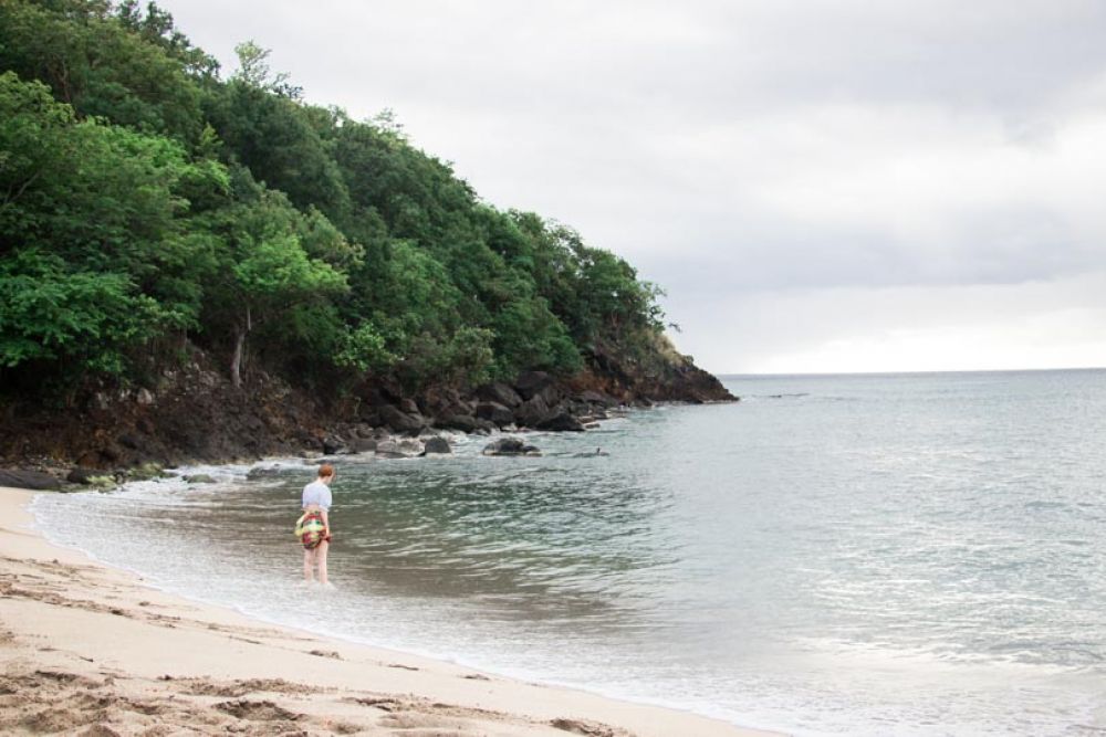 Plage Petite Anse sur Basse-Terre