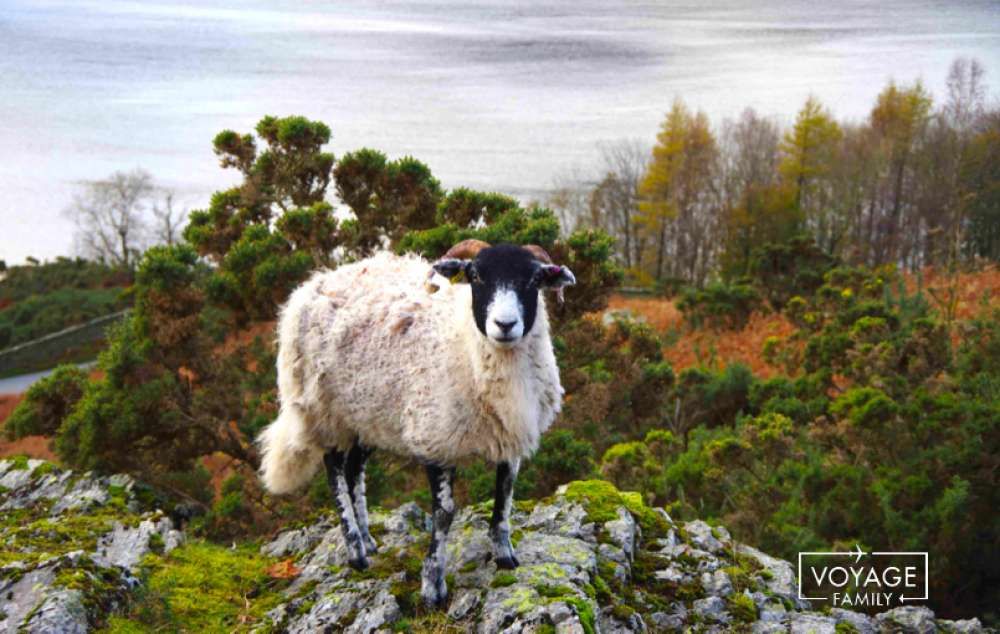 lake district