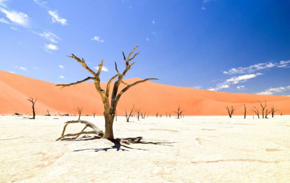 safari namibie en famille