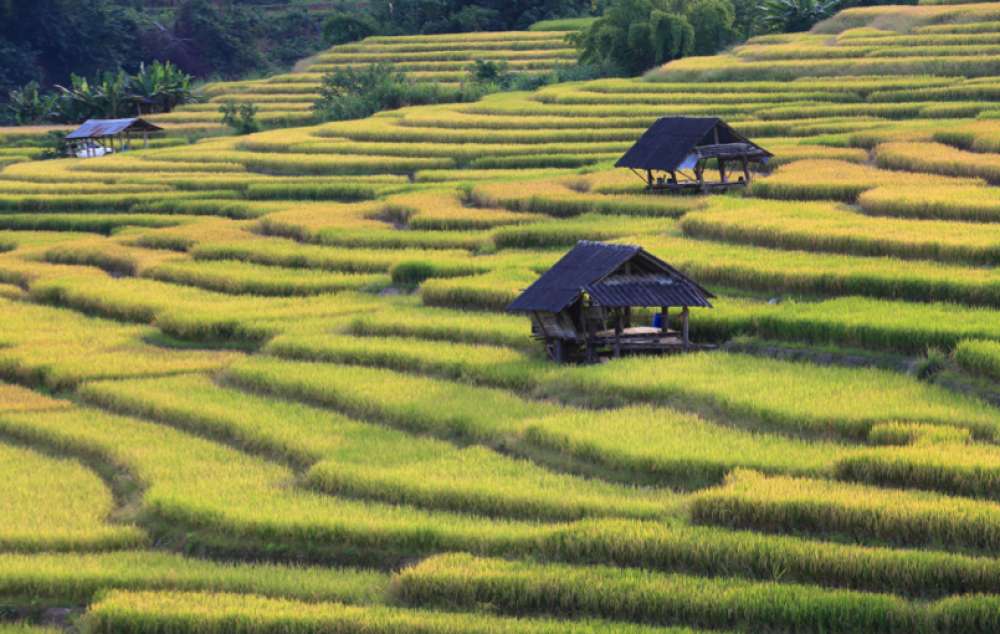 visiter Thaïlande du nord