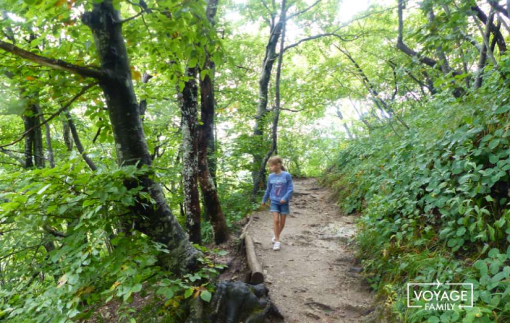 Lac Plitvice