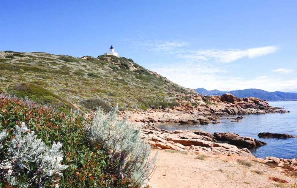 que faire en corse - îles sanguinaires