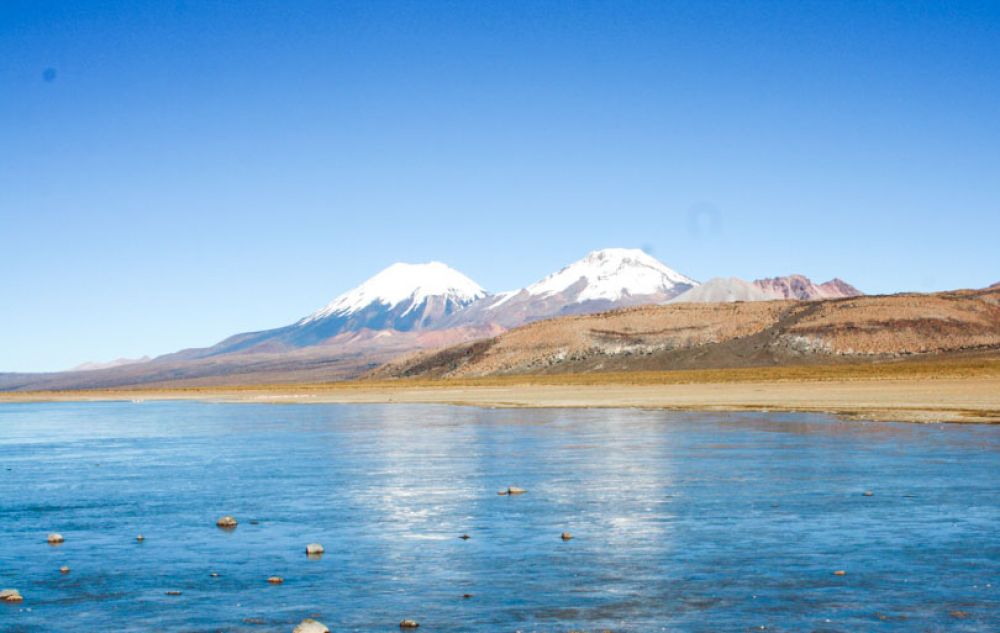 sajama bolivie en famille