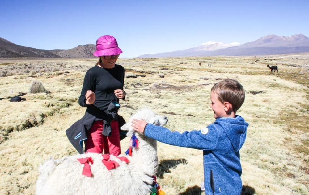 sajama en bolivie