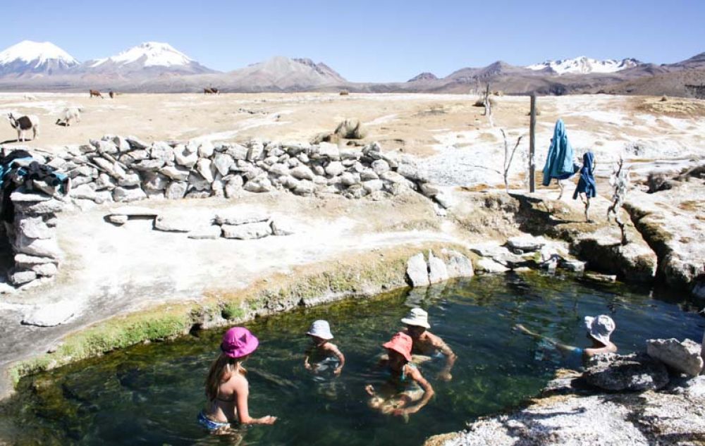 sajama que faire en bolivie