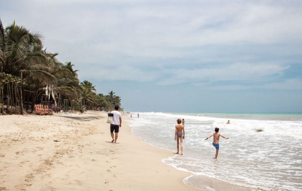 que faire en colombie - palomino