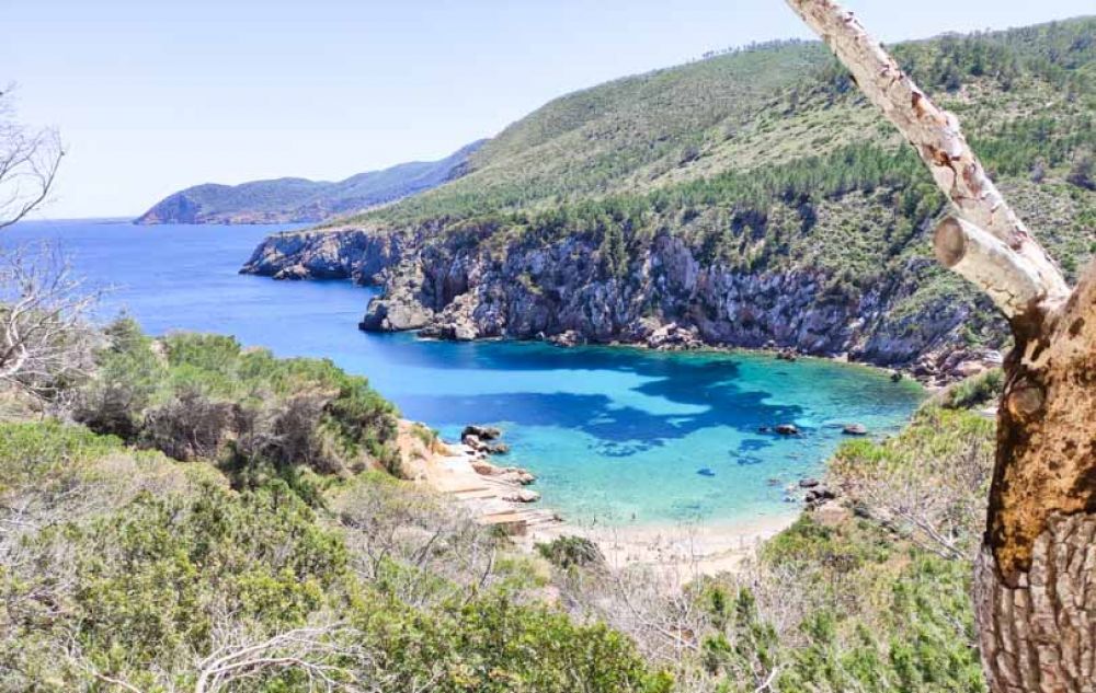 que faire à Ibiza