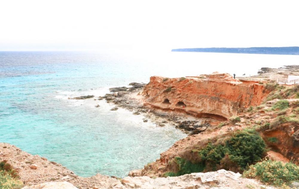 que faire à Ibiza